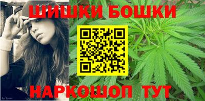 индика Лесосибирск