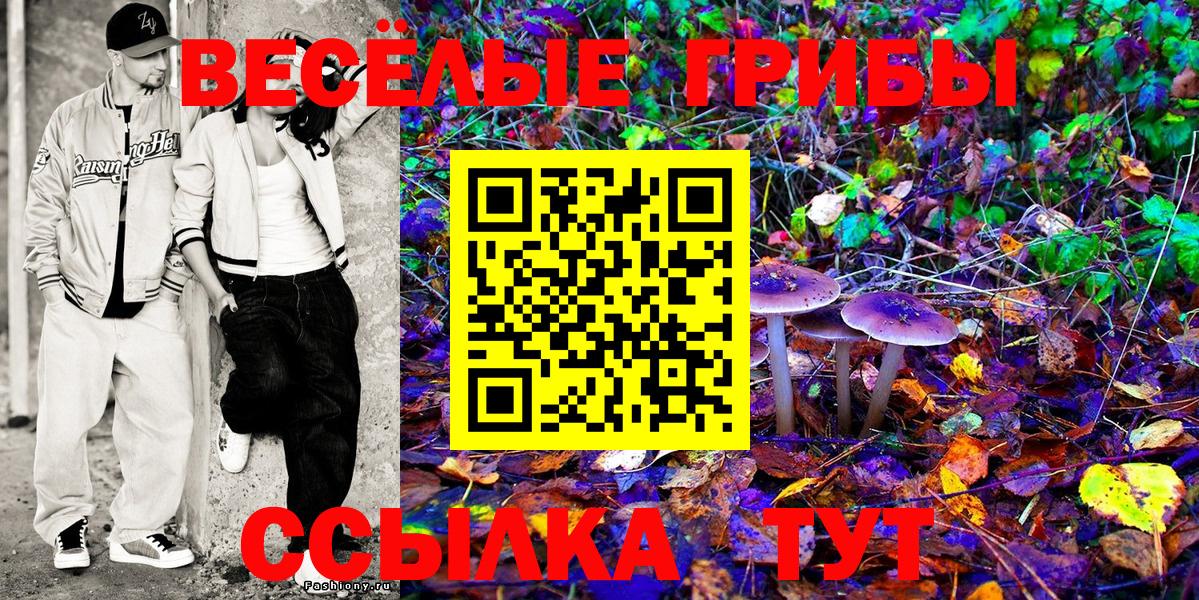 Галлюциногенные грибы GOLDEN TEACHER  Галлюциногенные грибы прущие грибы  Ухта  Вход с VPN 